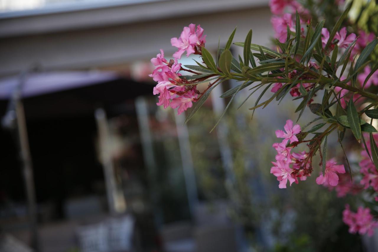 Guest House Lorenta Vodice Luaran gambar