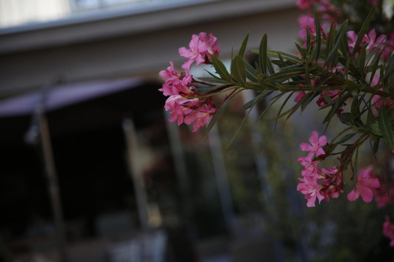 Guest House Lorenta Vodice Luaran gambar